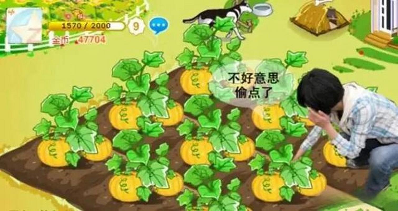 成语偷菜