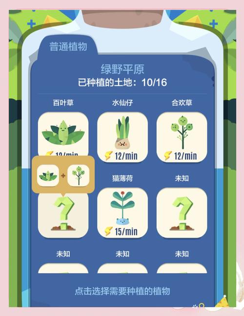 放置植物