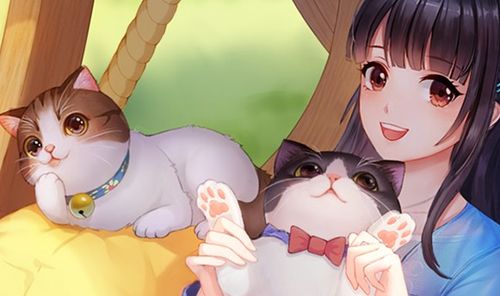 喵与筑无限猫爪已破解版