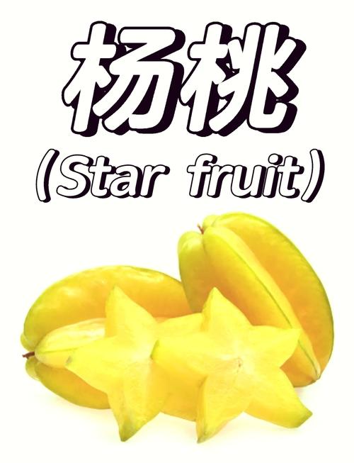 杨桃短视频图标