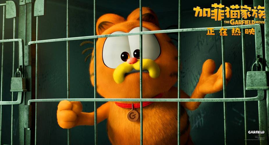 加拍猫安卓版
