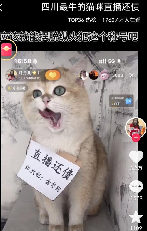 今日头条抓猫抢红