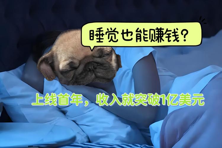 睡眠宝宝赚钱睡觉