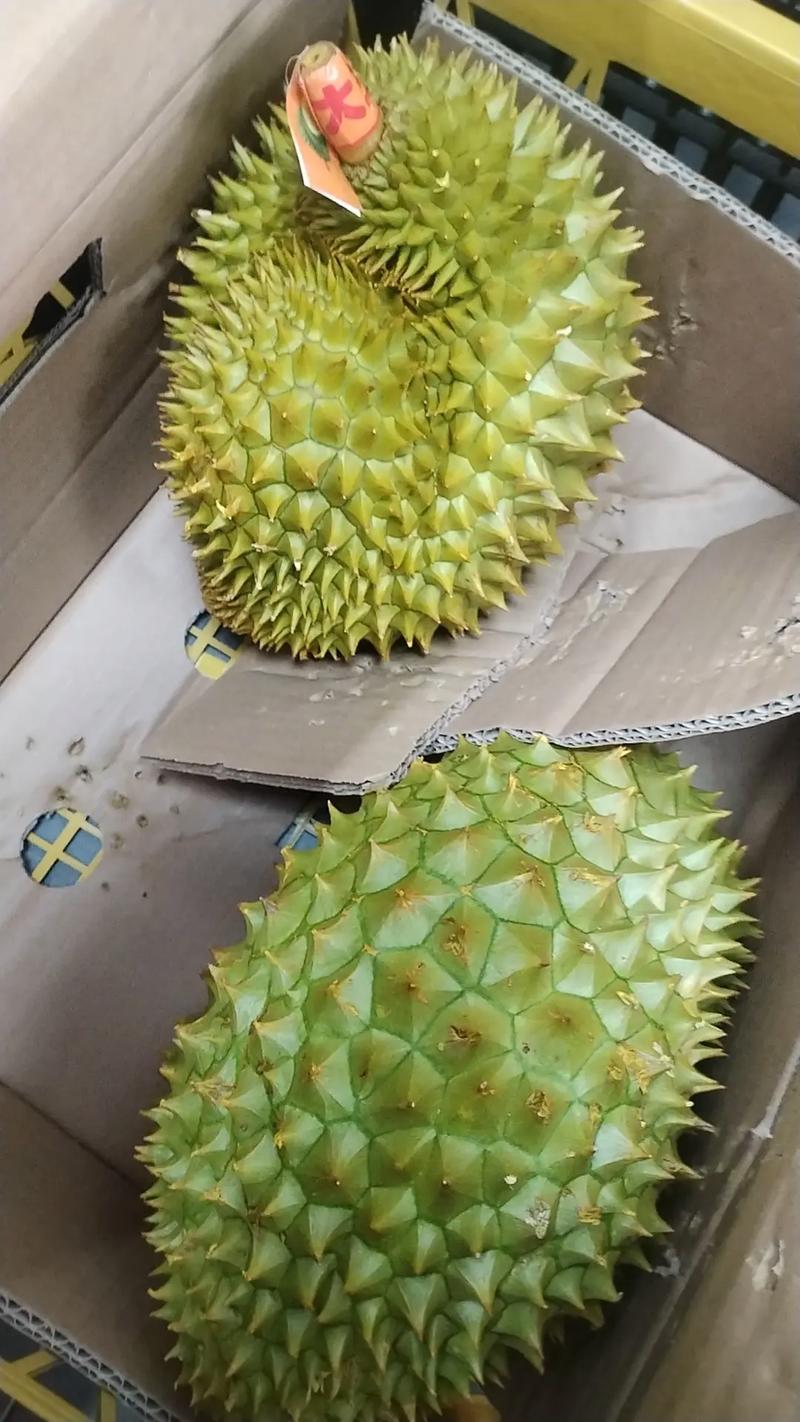 榴莲草莓短视频