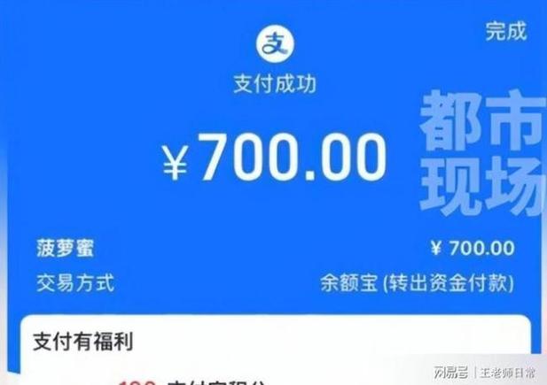 支付宝10213
