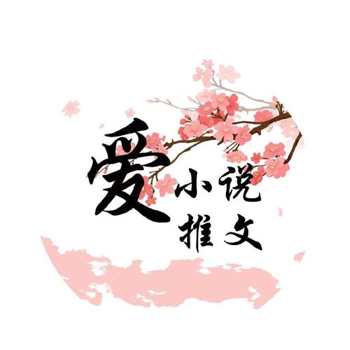 新爱上小说图标