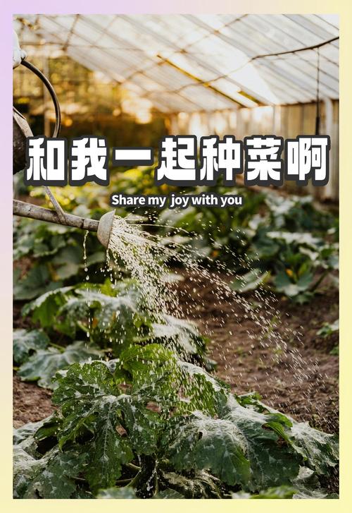 跟我一起来种菜3图标