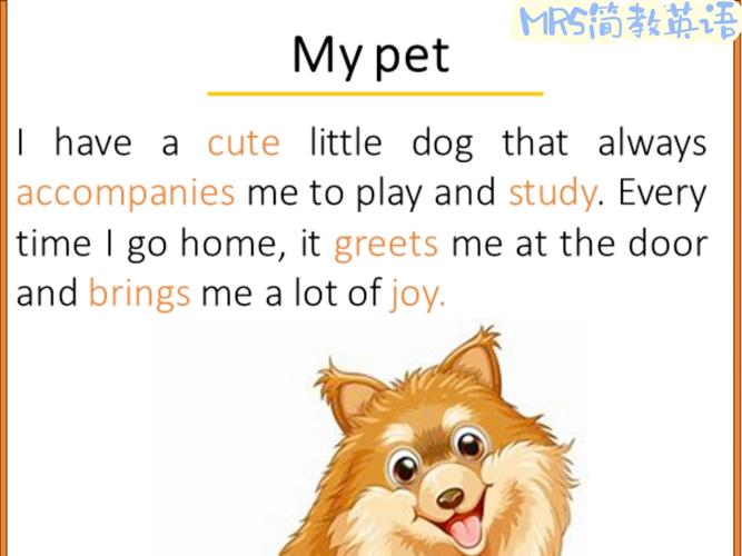 MyPetHooligan