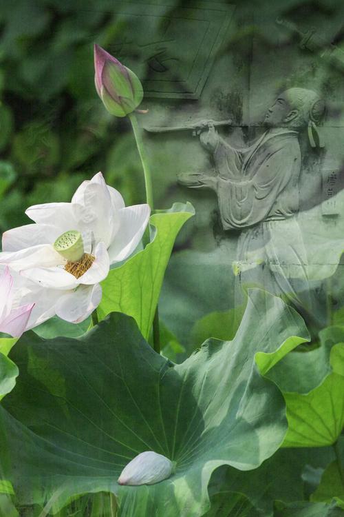 梦步生花