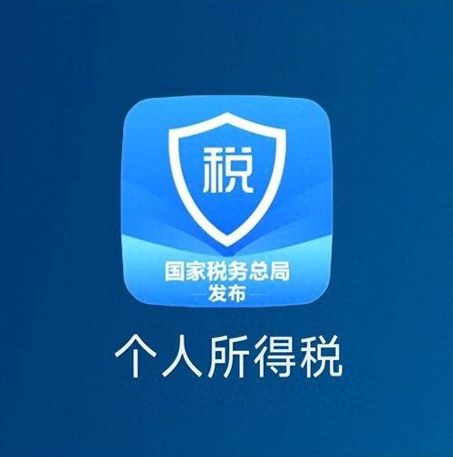 个人所得税官网版图标