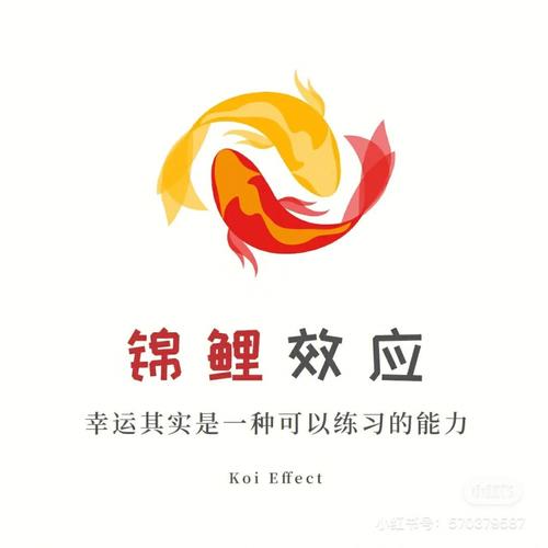 锦鲤网转发文章赚图标