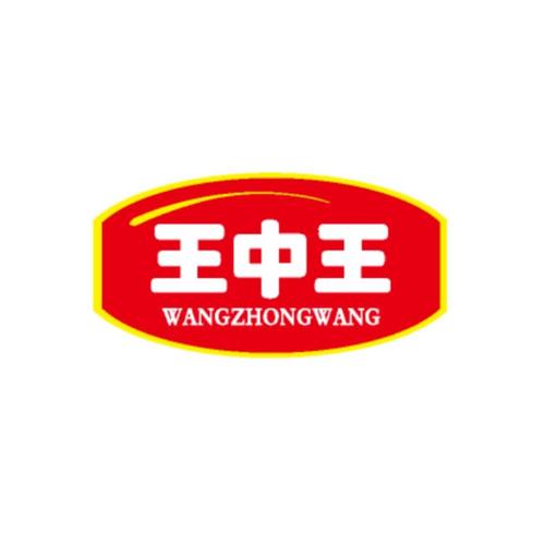 转发王中王图标