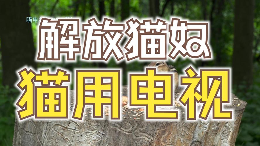 猫咪视频官网版