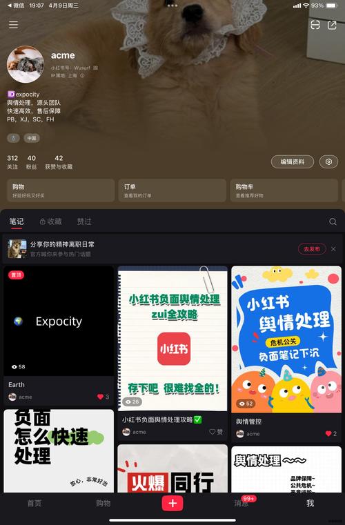 掌上点赞APP下载正版