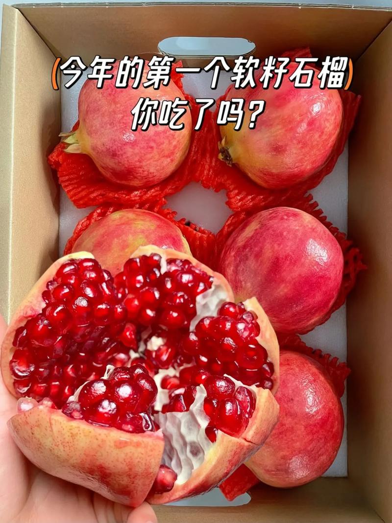石榴视频2021