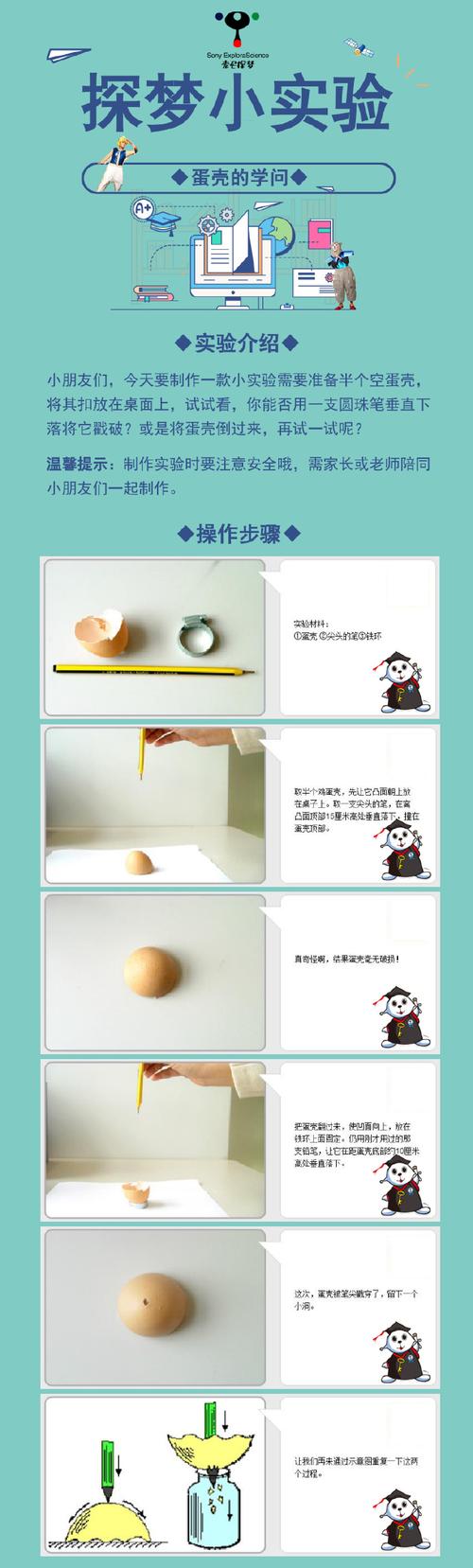 蛋壳app新版本