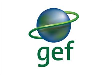 gefc数字生态