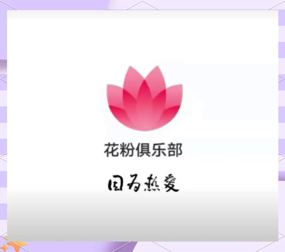 花粉视频图标