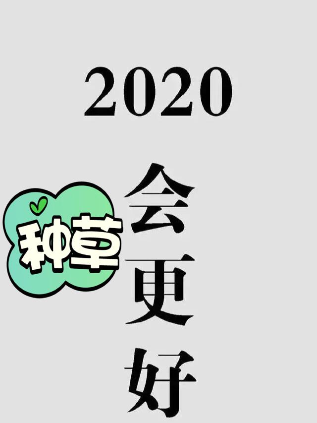 写手君app最新安卓版