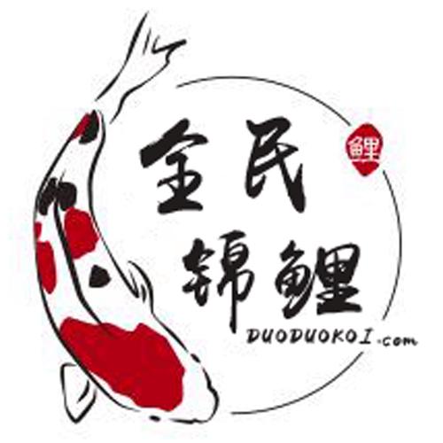 锦鱼多多图标