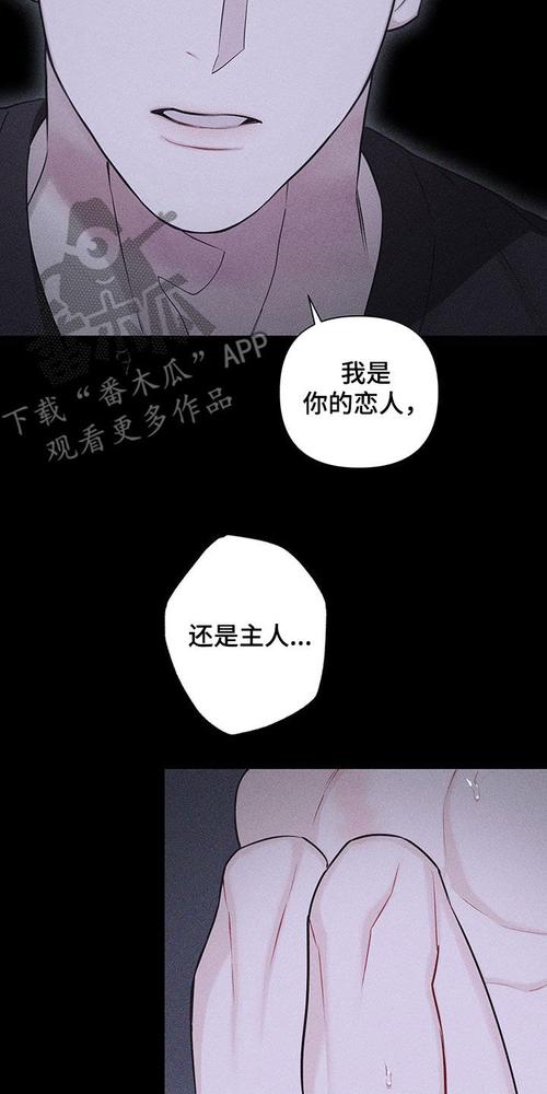 91漫画232