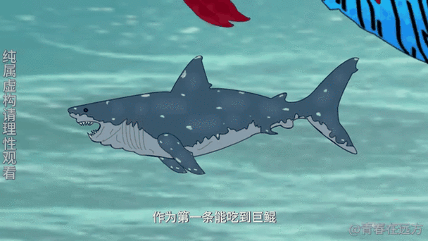 金巨鲲2021