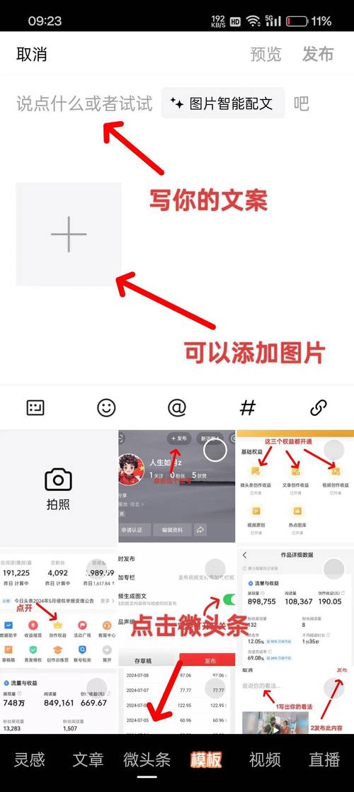 蛋咖头条