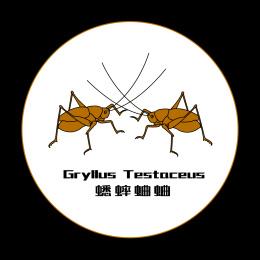 养蟋蟀赚钱图标