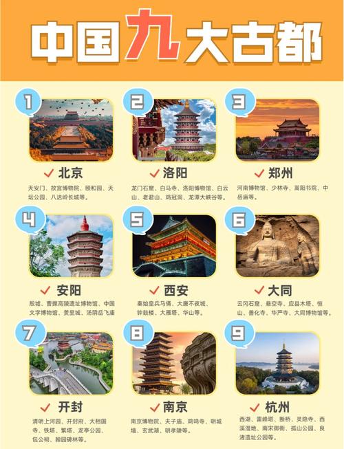 新朝文化app