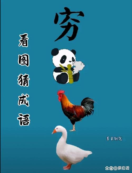 熊猫猜成语