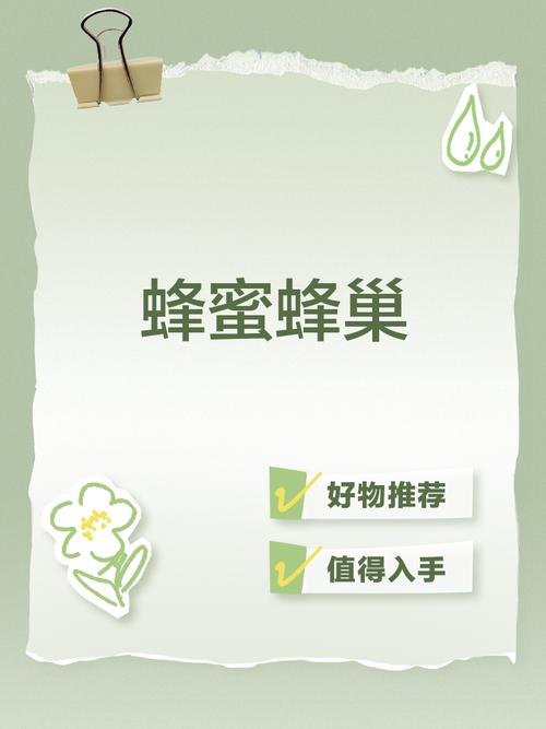 蜂蜜窝app图标