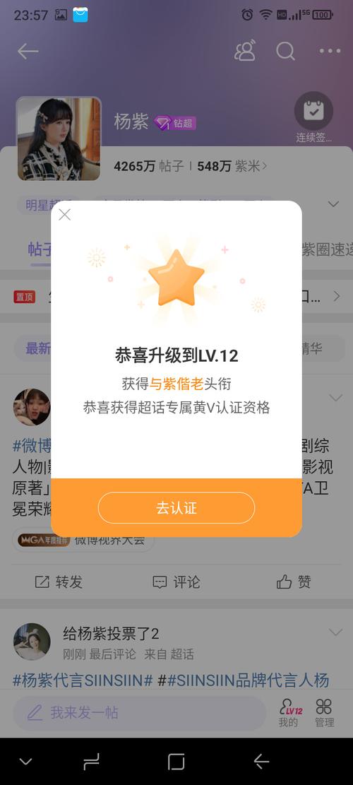 叮咚投票赚钱平台