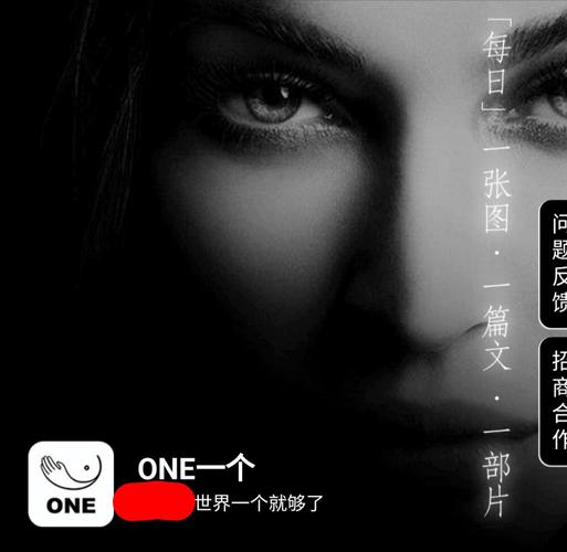 one一个致敬韩
