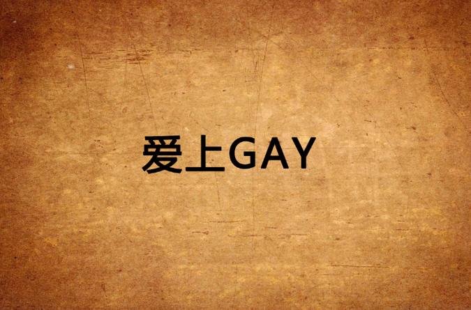 gay小说v13图标