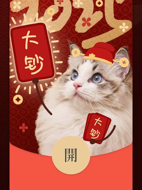 我的猫咪红包版