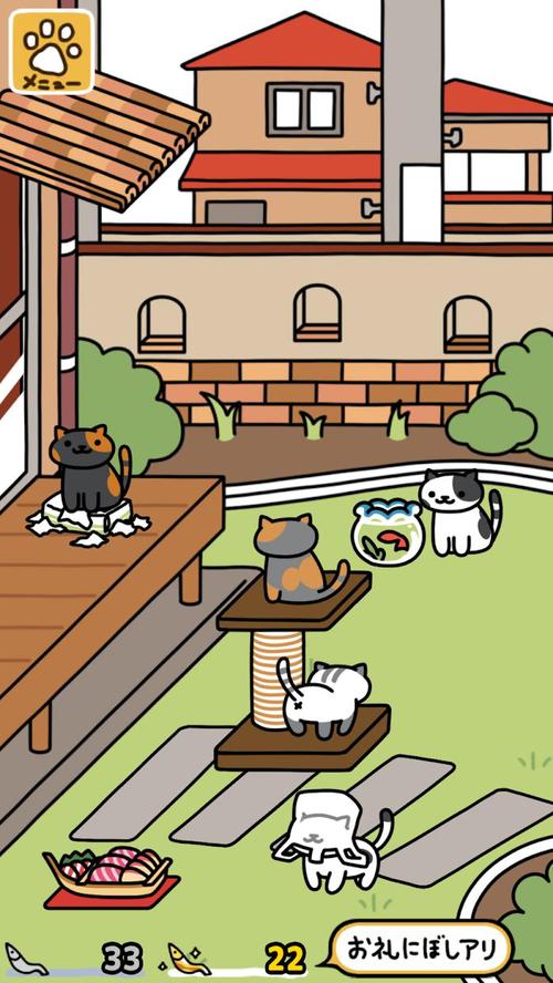 猫咪小院