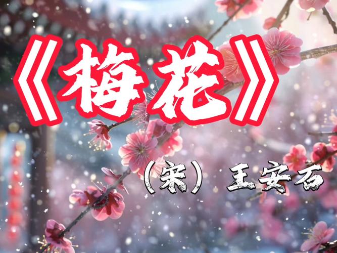 梅花视频破解版