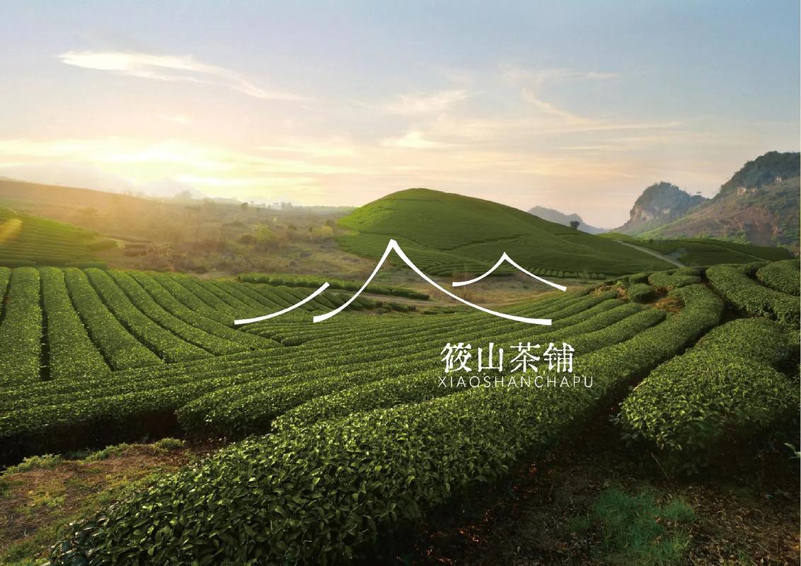 山茶网赚钱图标
