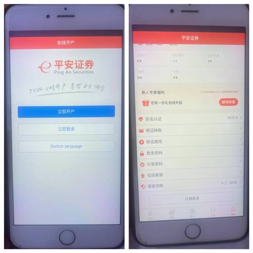 平安国际PAN交