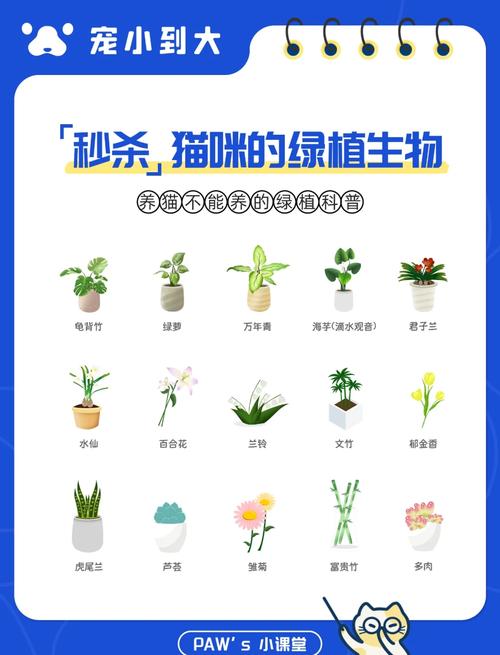 绿萝草