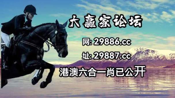 4887王中王铁图标