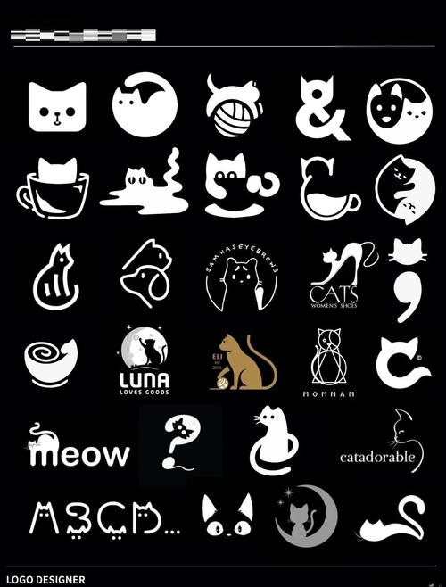 猫咪新区短视频海外版