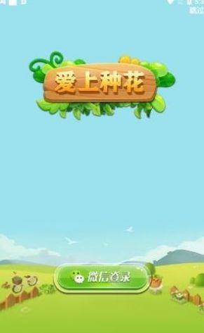 天天种花红包版2022