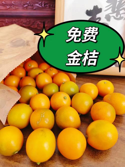 金桔商城