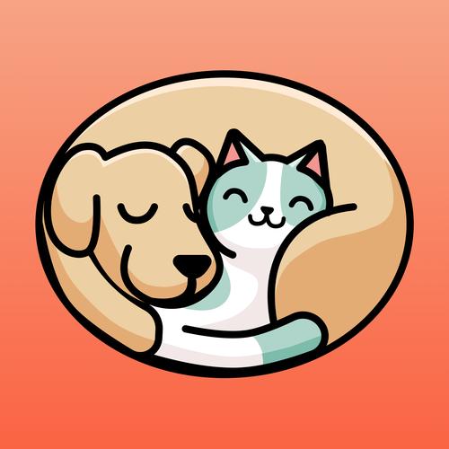 猫咪宝藏3.0