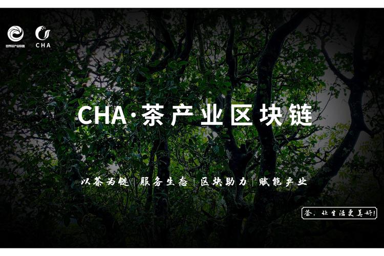 茶源世界区块链赚