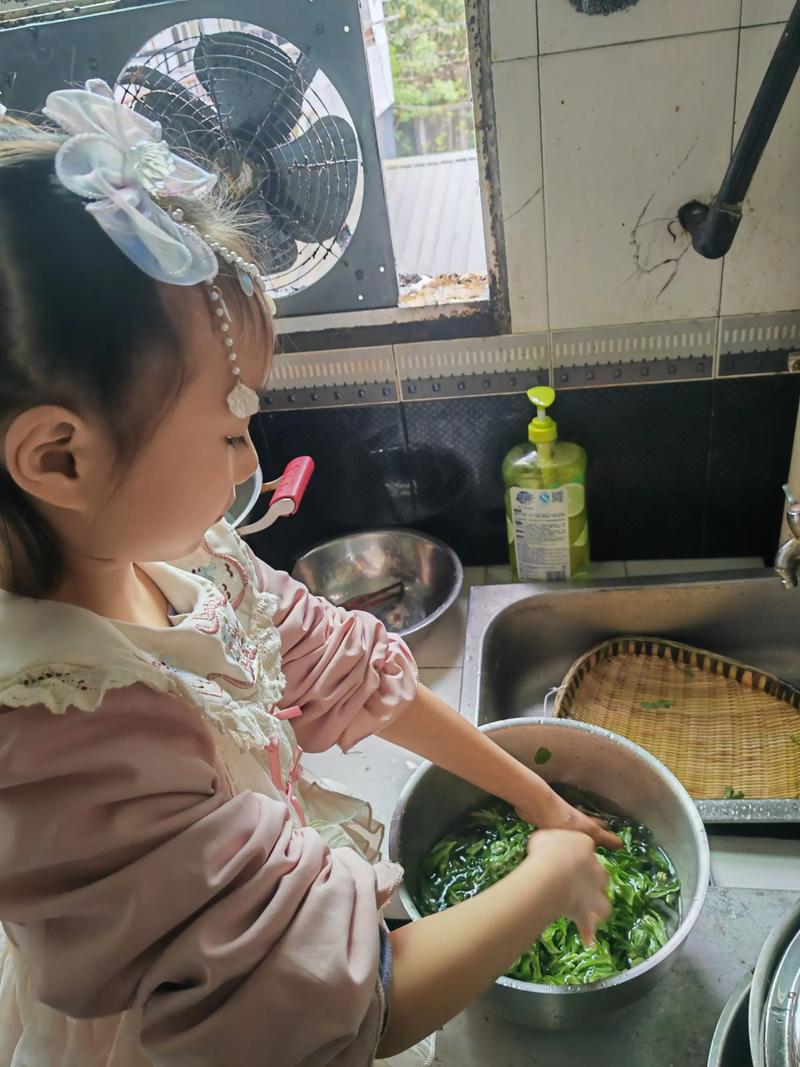我的小厨我做主