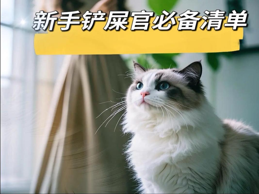 抖音小小铲屎官领图标