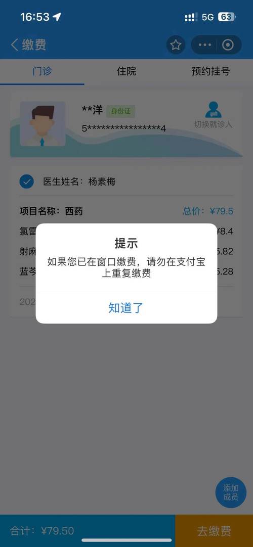 支付宝小萝莉外挂