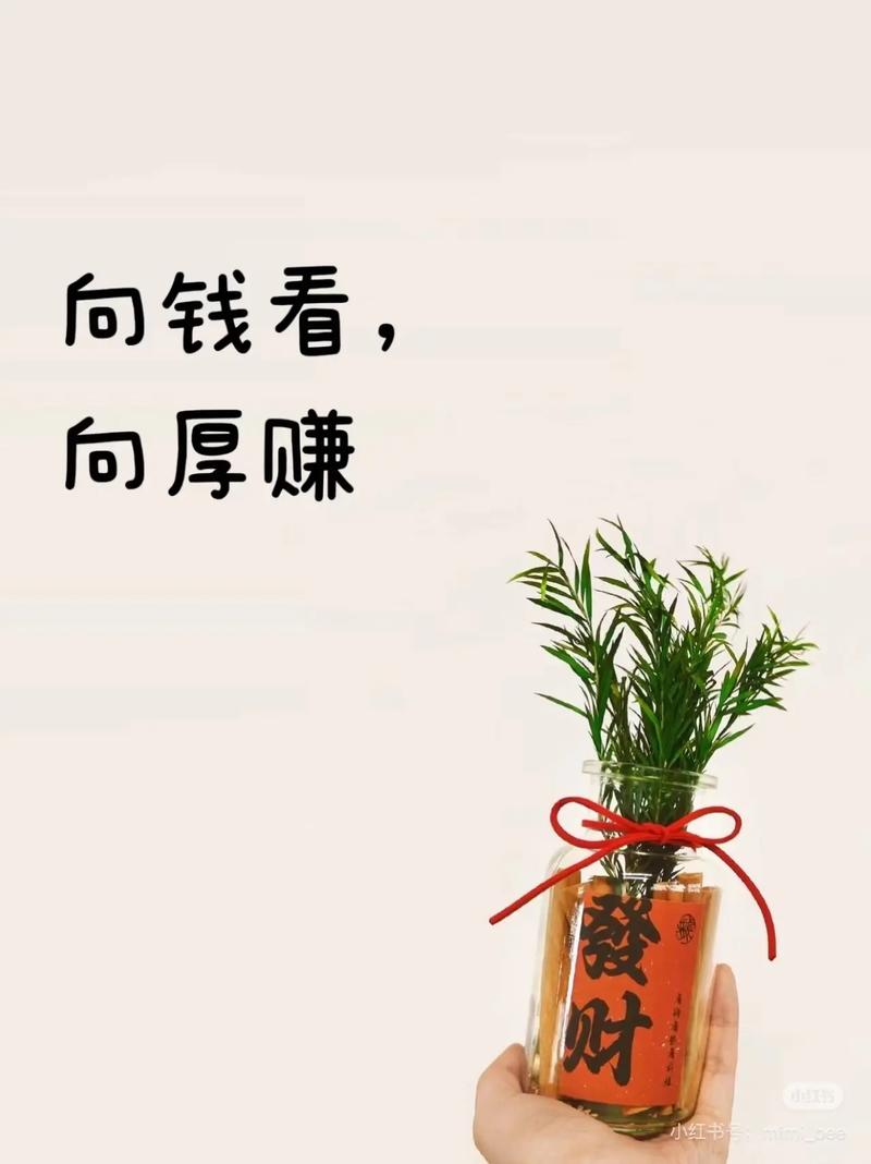 向厚赚